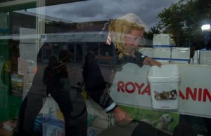 2 september Dode vogels in winkeletalage aangetroffen