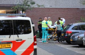 Twee gewonden na vechtpartij Aart van der Leeuwlaan Delft