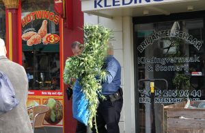 Politie treft hennepkwekerij aan in bedrijfspand Binnenwatersloot Delft
