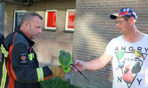 26 mei Brandweer rukt uit voor een woningbrand Gedenklaan Gouda