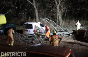 Omgevallen boom zorgt voor schade aan geparkeerd busje Walnootstraat Den Haag