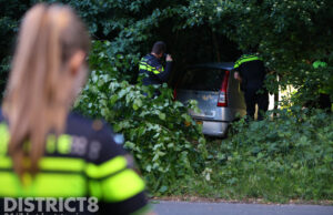 Auto vliegt uit de bocht en vliegt bosschage in Madesteinweg Den Haag