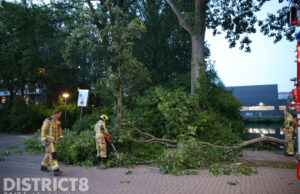 Grote tak van boom breekt af en valt op bankje Vulcanusweg Delft