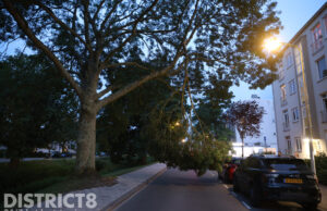 Loshangende tak zorgt voor verkeersstremming Maartensdijlklaan Den Haag