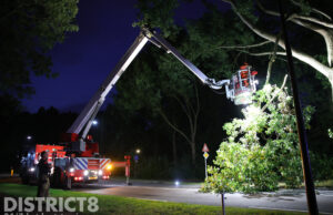 Grote tak blokkeert gedeelte van rijbaan Lange Kleiweg Rijswijk