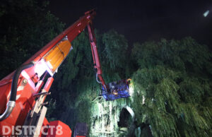 Grote boom verliest takken en zorgt voor onveilige situatie Gramsbergenlaan Den Haag