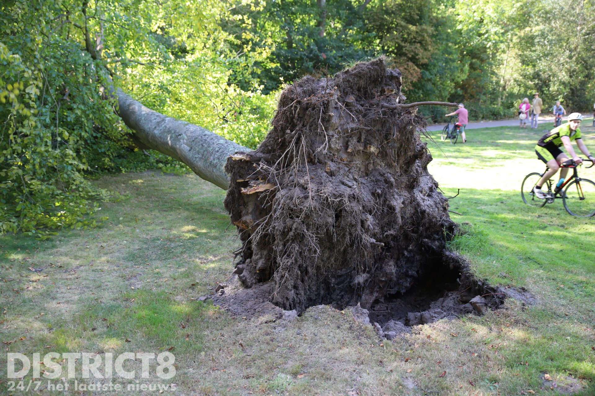 Grote boom valt om op fietsers Monsterseweg Den Haag