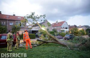 Boom kiest vouwwagen als rustplaats: auto ontsnapt nipt Prinses Margrietlaan Leidschendam