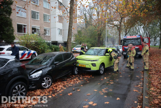 Automobilist ramt geparkeerde auto’s Reigersbergenweg Den Haag