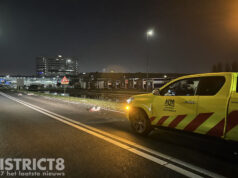 Zeven ganzen doodgereden Middel Broekweg N466 Honselersdijk