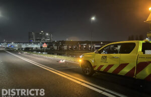Zeven ganzen doodgereden Middel Broekweg N466 Honselersdijk