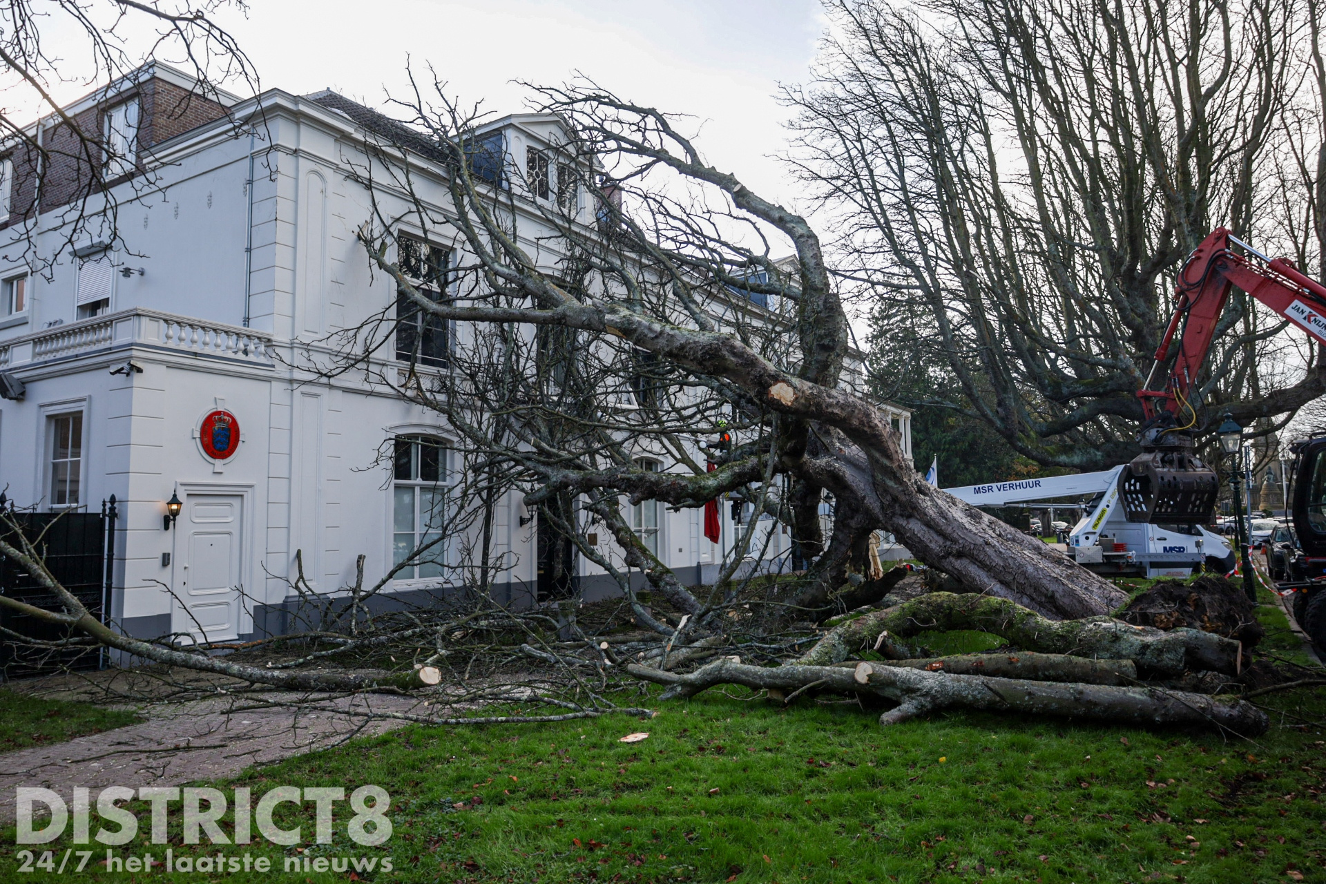 Grote boom begeeft het en valt tegen Deense Residentie Sophialaan Den Haag