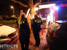 Politie ontdekt brandende boom aan de Raaphorstlaan Den Haag