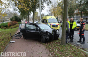 Auto knalt tegen boom en schept fietser Loevesteinlaan Den Haag