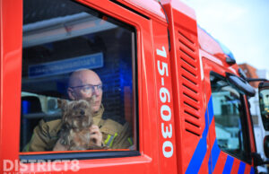 Hondje gered bij woningbrand Patrimoniumstraat Delft
