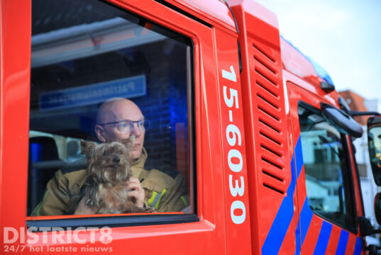 Hondje gered bij woningbrand Patrimoniumstraat Delft