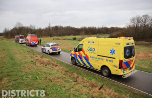 Paard gered uit sloot door inzet hulpdiensten en omstanders Dubbeldankpad Delfgauw