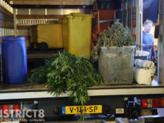 Hennepkwekerij met 200 planten ontmanteld in woning Weimarstraat Den Haag