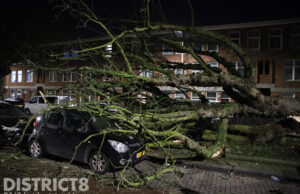 Enorme boom valt om en beschadigd enkele auto’s Kaapstraat Den Haag
