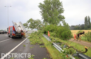 Grote boom waait om en belandt op snelweg: weg urenlang deels dicht A13 Delft/Rotterdam