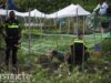Twee gewonden en aanhouding na melding steekpartij Hildebrandplein Den Haag