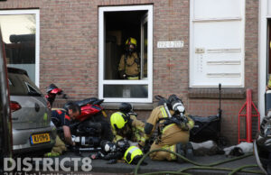 Zeven honden uit woning gered bij felle brand: zes honden overleden Ribesstraat Den Haag