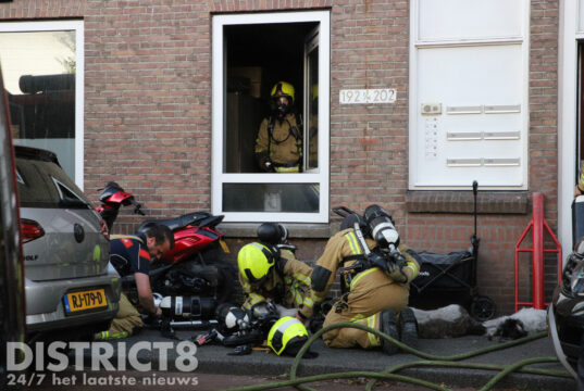 Zeven honden uit woning gered bij felle brand: zes honden overleden Ribesstraat Den Haag
