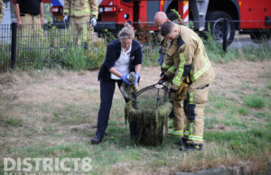 Met botulisme besmette meeuw door brandweer uit water gered Chrysantplein Den Haag