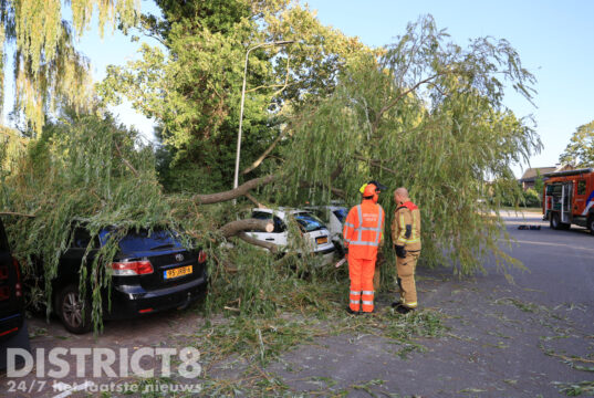 Grote tak van wilg breekt af en valt op vier geparkeerde auto’s J.C. van Markenweg Delft