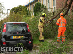 Boomtak breekt af en belandt op geparkeerde auto door harde wind Serre Rijswijk