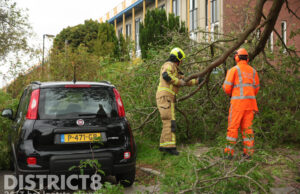 Boomtak breekt af en belandt op geparkeerde auto door harde wind Serre Rijswijk