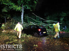Grote boom waait om en valt op geparkeerde auto Guntersteinweg Den Haag