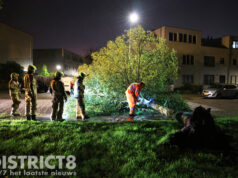 Brandweer zaagt omgewaaide boom midden in de nacht in stukken Azielaan Delft