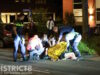Hond overleden en voetganger zwaargewond na aanrijding met motorrijder Oude Trambaan Leidschendam