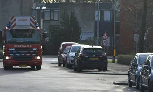 17 december Brandweer rukt uit voor een kat in de boom Hoefblad Waddinxveen