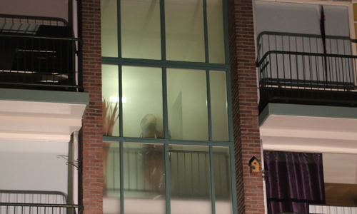 28 december Flinke rookontwikkeling bij brand in portiekwoning Terracottastraat Rijswijk