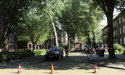 3 augustus Flinke boom waait om voor harde wind Mr. le Poolestraat Rijswijk