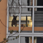 Man geeft aan explosief in huis te hebben