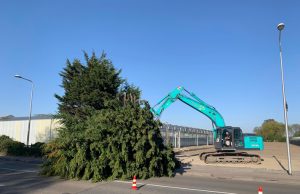 Boom valt op rijdende auto Molenweg Monster