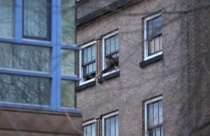 Verwarde man in woning overmeesterd door de politie Asstraat Den Haag