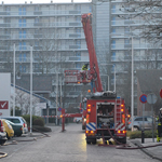 329_10_bdcf4bcab3_tm