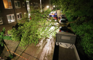 Geparkeerde auto beschadigd door gevallen tak Galjoenstraat Rijswijk