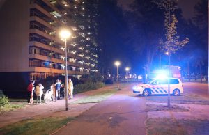 Man raakt te water langs de Voorhofdreef in Delft
