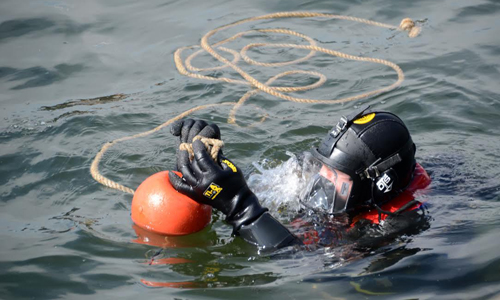 79b4e211-6ad2-48e0-bb00-63a2e0d3d7ca