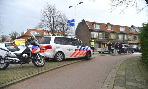AMedia Terplaatse_hennep_leiden_25022014_emage00099