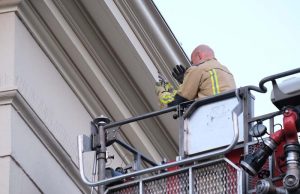 Brandweer helpt vastzittende vogel Korte Vijverberg Den Haag