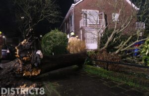 Flinke wind zorgt voor stormschades in de regio