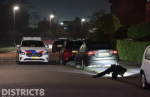 Politie rukt groots uit na melding schietpartij Scheldestroom Zoetermeer