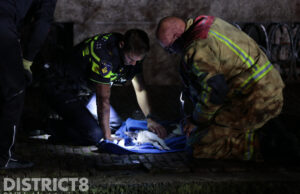 Kat raakt te water en overlijdt Zuiderpad Den Haag