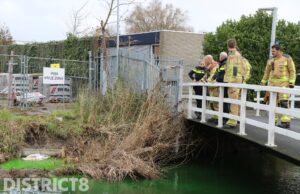 Sloot kleurt felgroen: brandweer doet onderzoek Bartokpad Delft